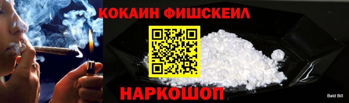 Меф Дубна