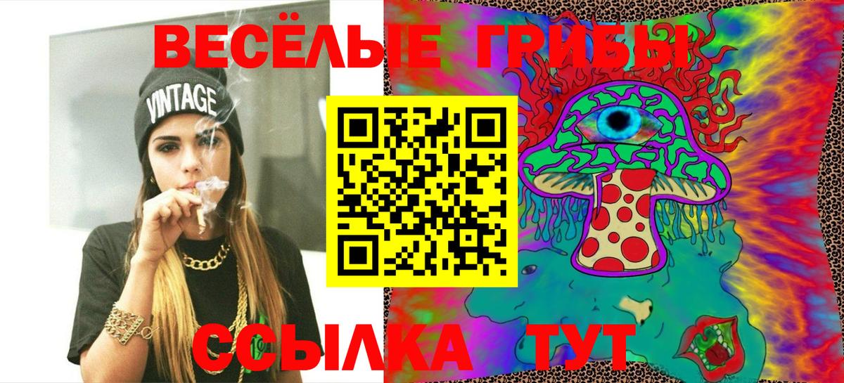 Псилоцибиновые грибы мухоморы Дубна