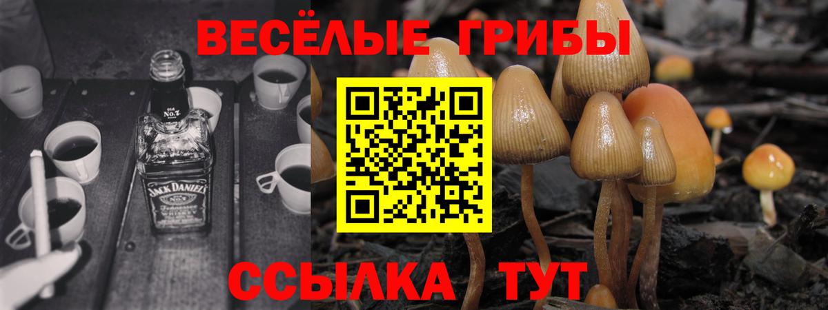 Галлюциногенные грибы GOLDEN TEACHER  Вход с VPN  Дубна  Псилоцибиновые грибы мицелий 